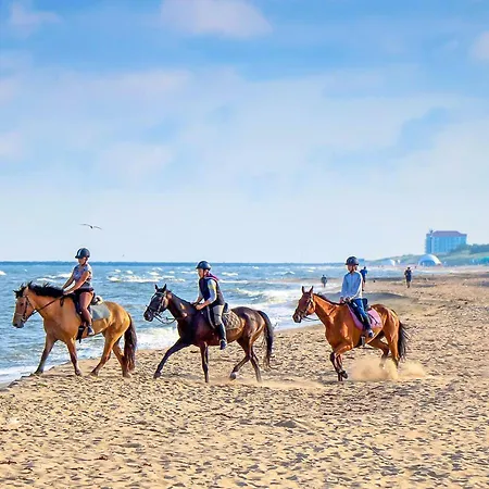 Gerendaház Ranczo Mustafa Bobolin