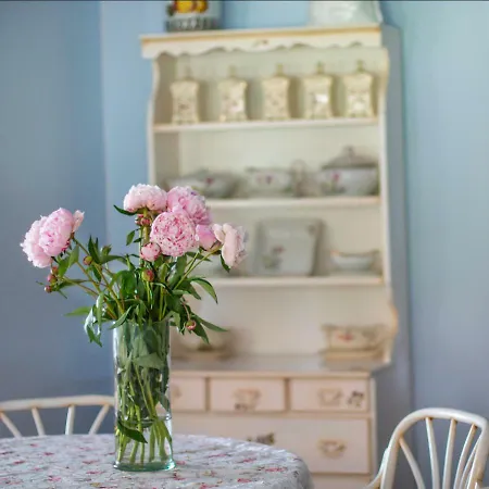 Ranczo Mustafa 山林小屋 波波林