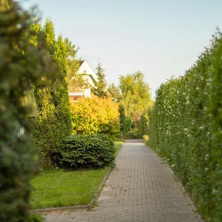 Ranczo Mustafa 波波林