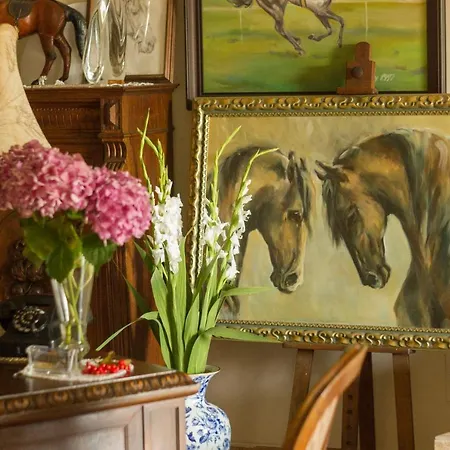 Ranczo Mustafa * 波波林