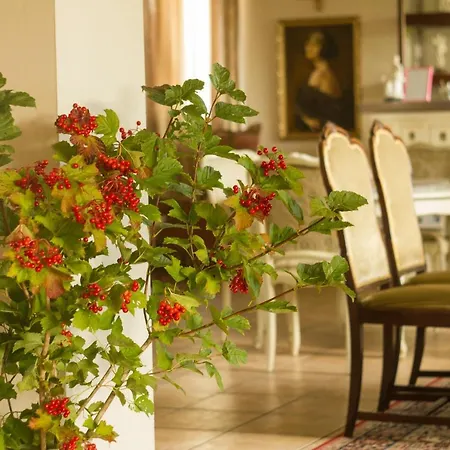 Ranczo Mustafa * 波波林