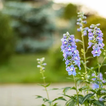 Ranczo Mustafa Lodge Bobolin