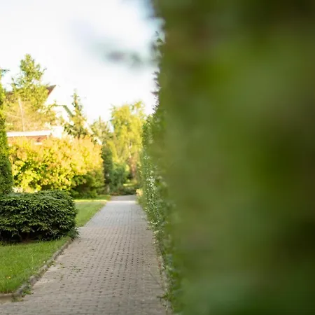 Ranczo Mustafa * 波波林