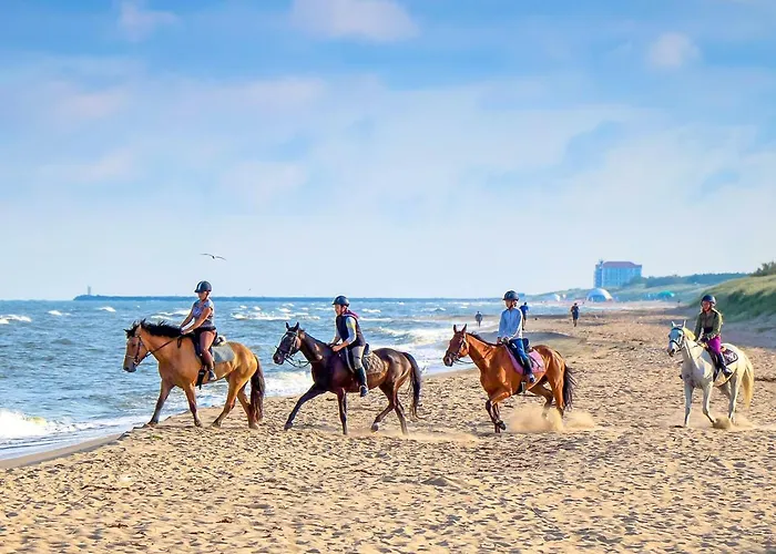 롯지 Ranczo Mustafa 보볼린