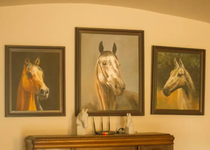 Ranczo Mustafa Jaktstuga *