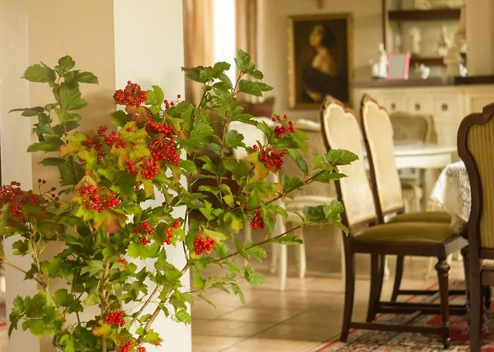 Ranczo Mustafa * Bobolin