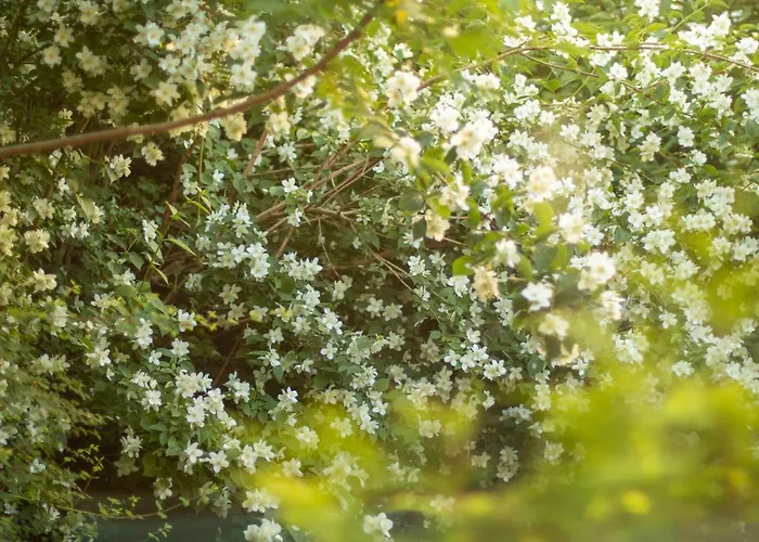 롯지 Ranczo Mustafa *