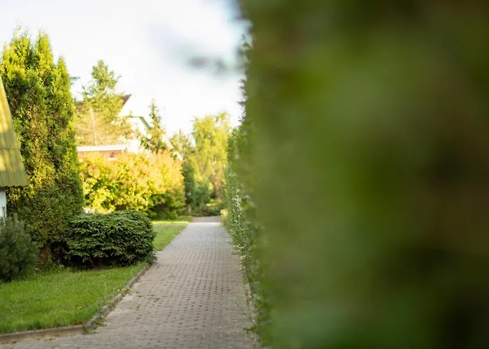 Ranczo Mustafa * Боболин